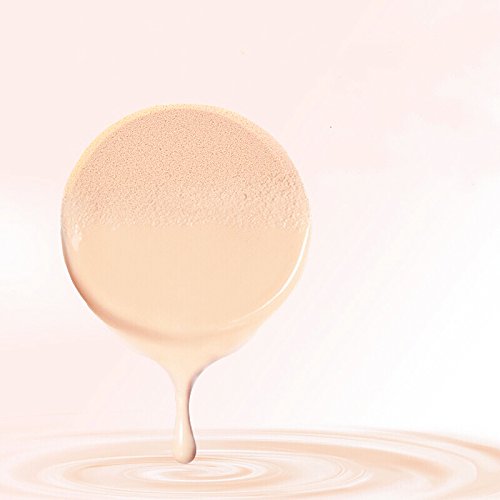 OWLFAVO 2pcs Round Makeup Sponges with 1 Travel Case, Beauty Face Primer Compact Powder Puff, Blender Sponge Replacement for Cosmetic Flawless Foundation, Sensitive and All Skin Types