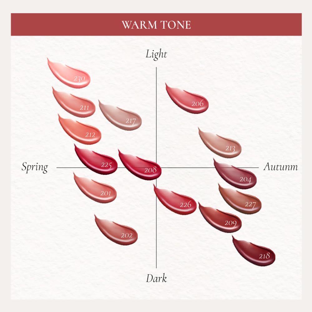 DINTO Blur-Glowy Lip Tint (230 Cōgitātiō)