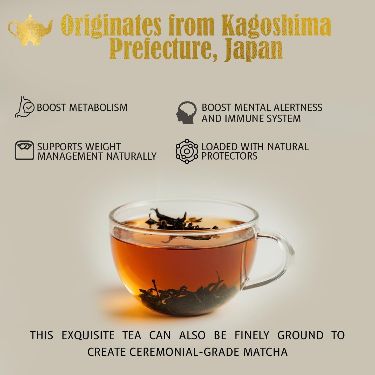 Japanese Sencha Green Tea, Organic Loose Leaf Sencha Tea – Antioxidant & Detox Support – Refreshing Hot or Iced Green Tea – 4 oz Resealable Bag (Makes 50 Cups) – The Elegant Elephant