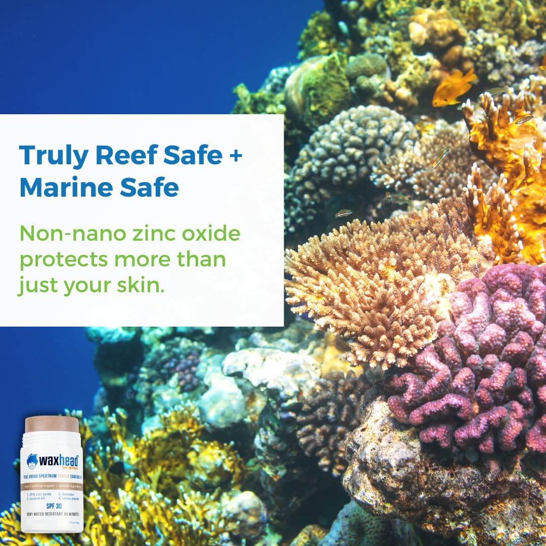 Waxhead Tinted Zinc Sunscreen Stick Face SPF 30 - Reef Safe Sunscreen, Tinted Zinc Oxide Stick Biodegradable, Waterproof, Skin Tone, Food-Grade, Non-Nano, Natural Non-Toxic Kids, Surfing (Tint, 3.7oz)