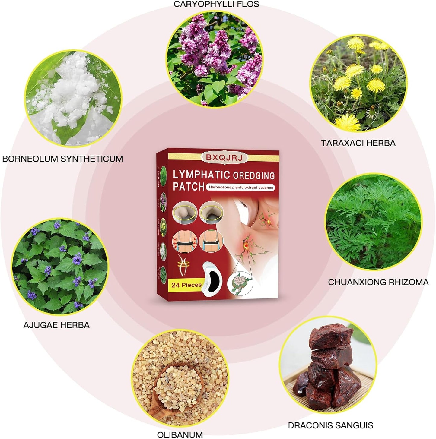 24Pcs/Box Herbal Lymph Nodes Patch,Lymphatic Drainage Patch/Patches,Herbal Lymphatic Drainage Care Patch,Neck Lymph Nodes Patch, Lymphatic Massage for Men and Women