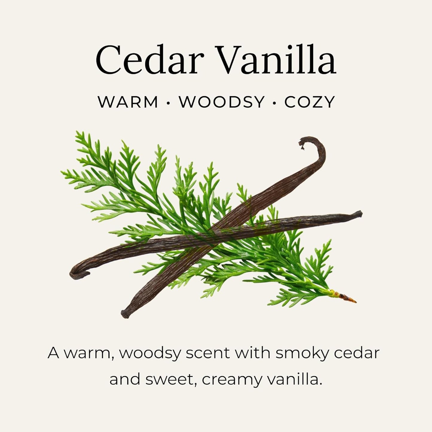 Little Seed Farm All Natural Deodorant Cream, Aluminum Free Activated Charcoal Deodorant for Women or Men - Cedar Vanilla, Net Wt. 2.4oz | 68g