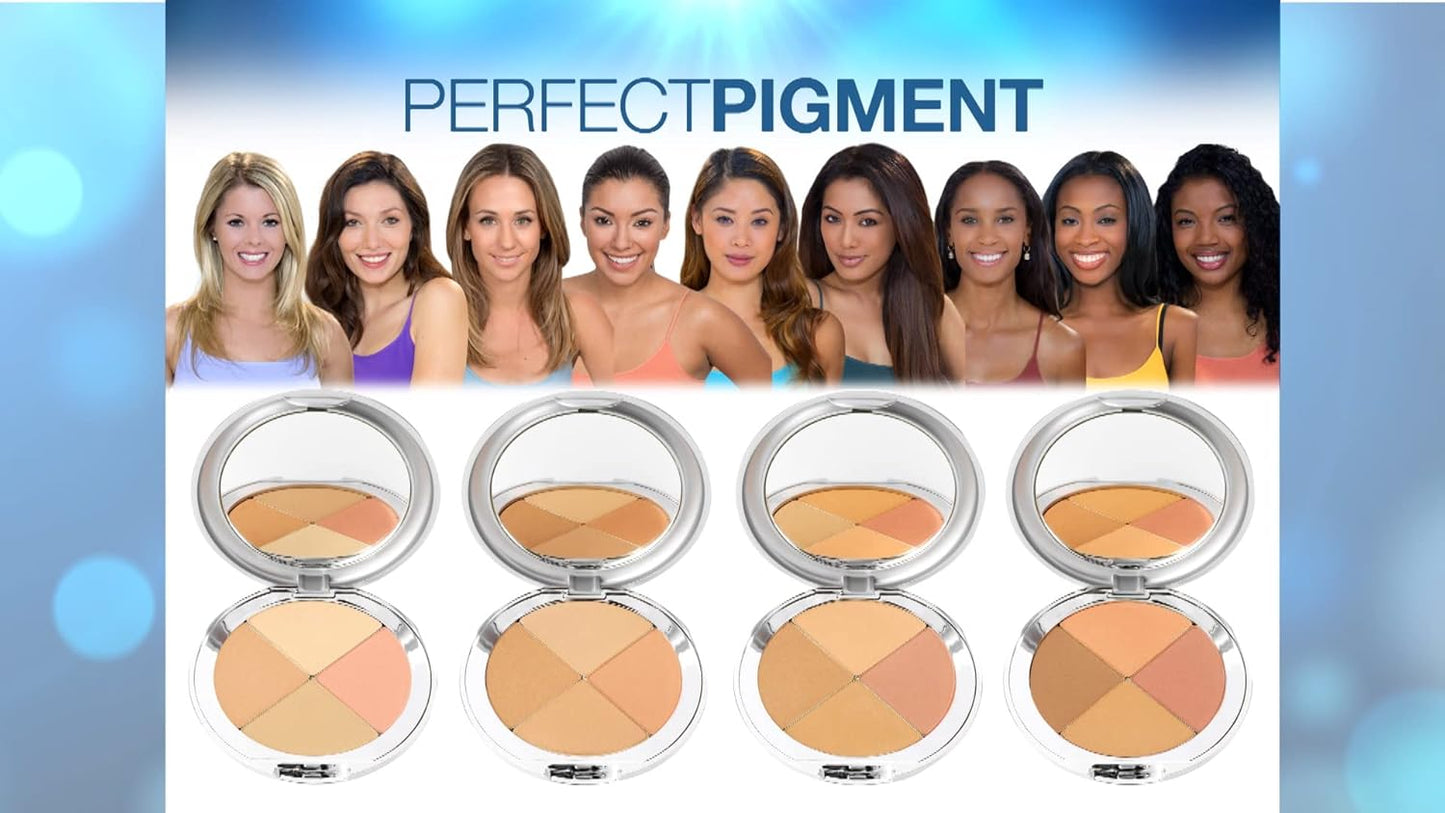 Christina Cosmetics Perfect Pigment 2 Compact and Retractable Brush Duo!