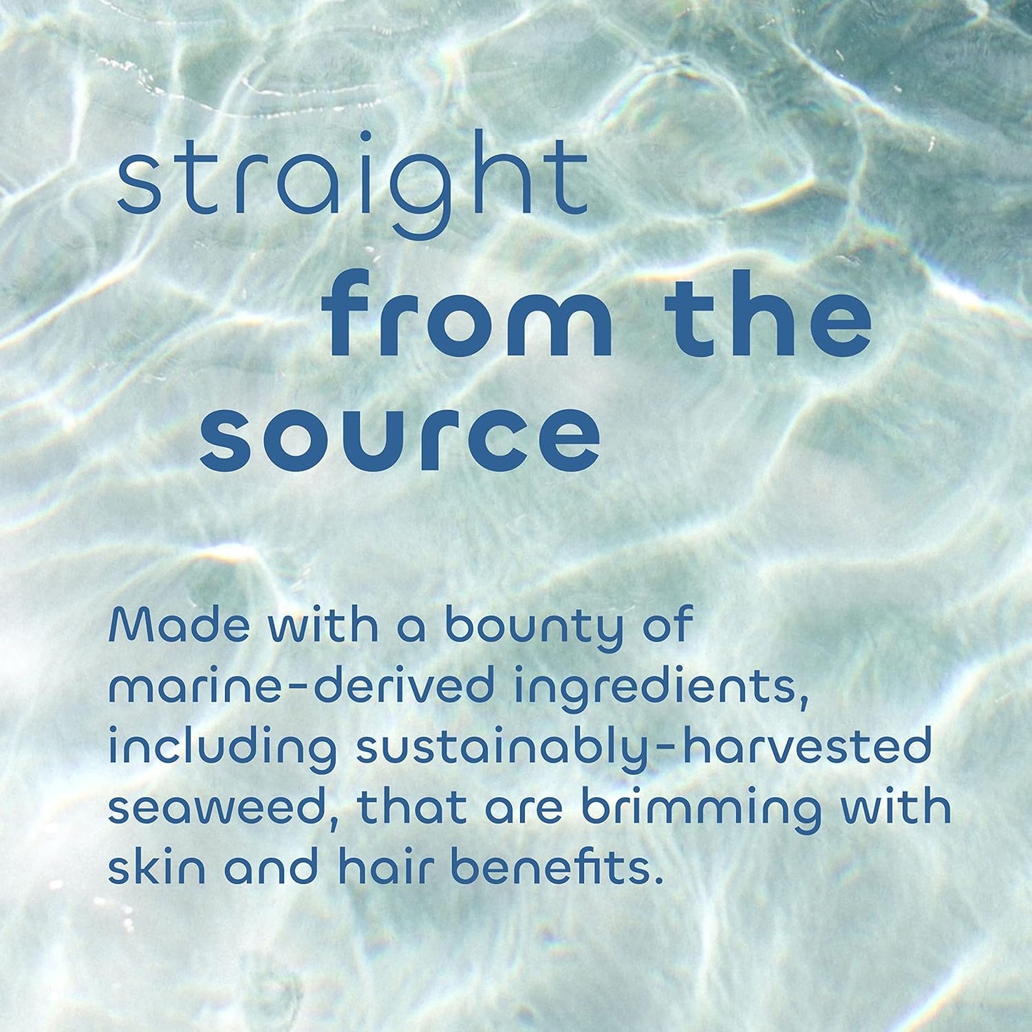 Seaweed Bath Co. Hydrate Body Cream, Citrus Vanilla Scent, 6 Ounce, Nourishing Hand & Body Lotion Moisturizer for Dry Skin, with Sustainably Harvested Seaweed, Kukui Oil, Hyaluronic Acid, Shea Butter