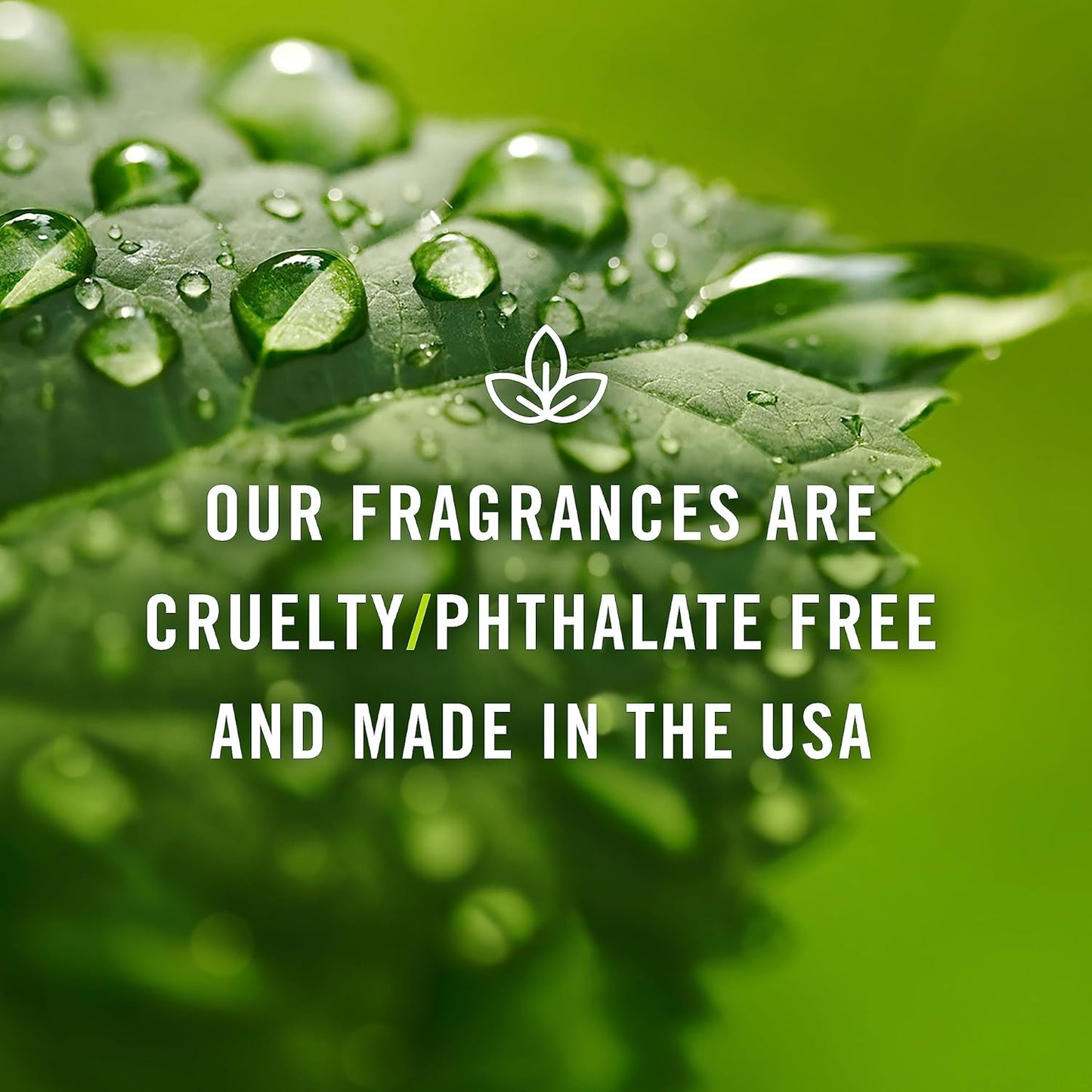 P&J Fragrance Oil Autumn Wreath Scented Candle 30ml